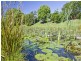 45 Dungogie Drive, Tallebudgera QLD 4228