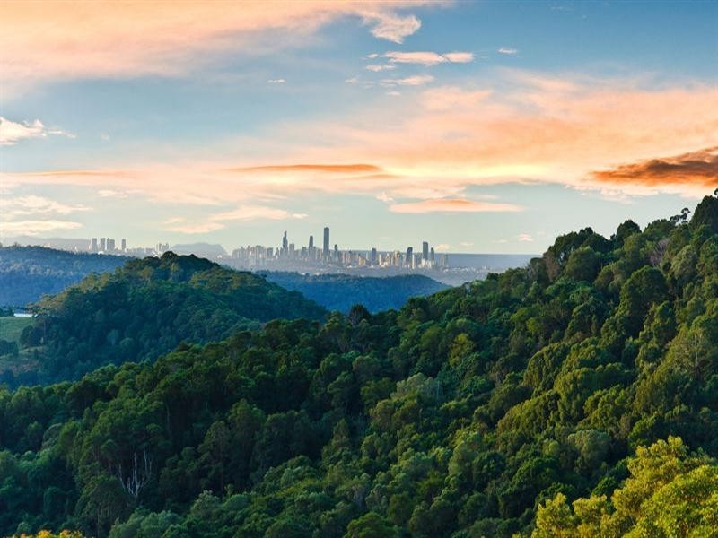 620 Trees Road, Tallebudgera QLD 4228
