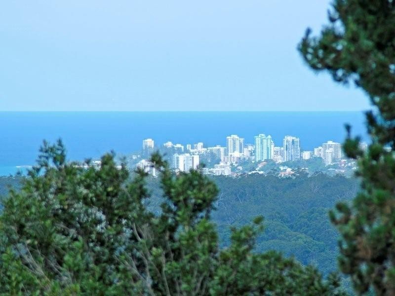 620 Trees Road, Tallebudgera QLD 4228