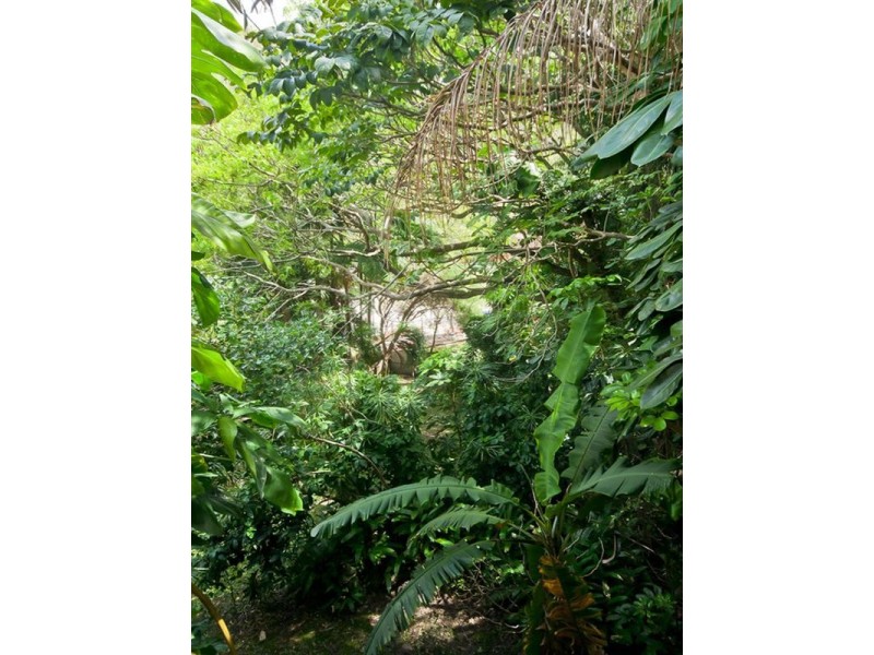 34 Woodgee Street, Currumbin QLD 4223