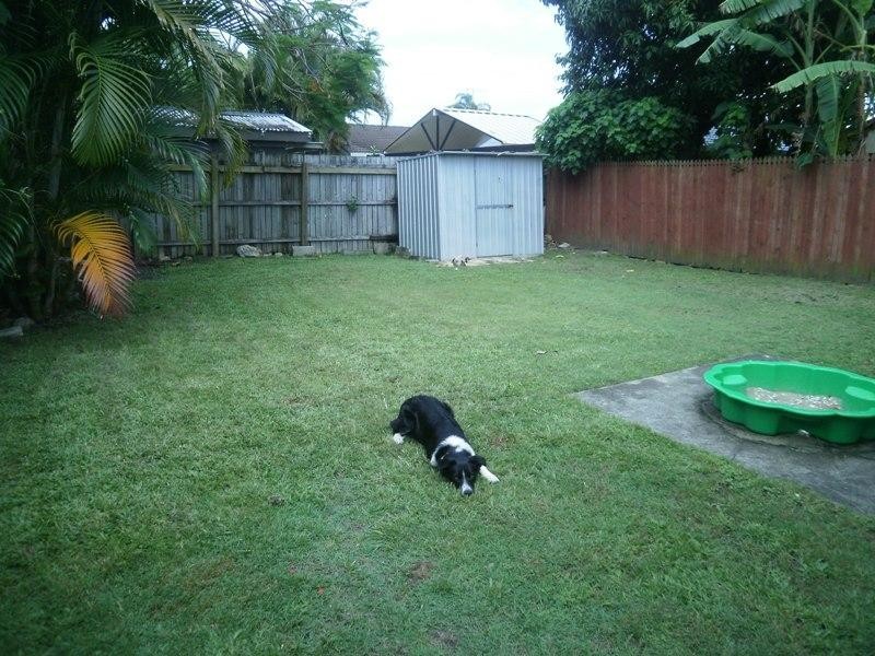 8 Cypress Terrace, Palm Beach QLD 4221