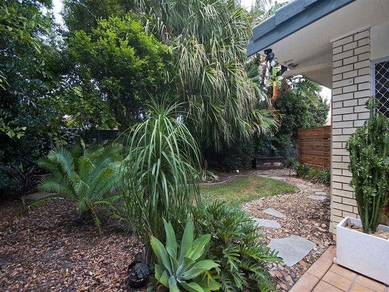 14 Tingira Street, Palm Beach QLD 4221