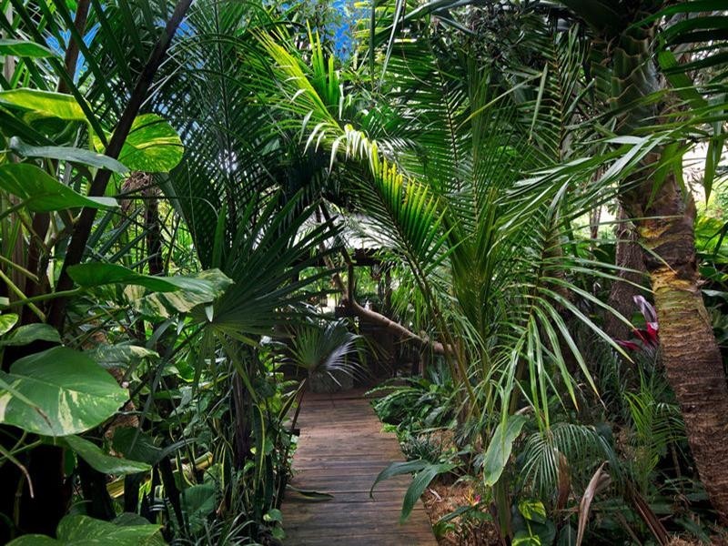 1001 Gold Coast Highway, Palm Beach QLD 4221