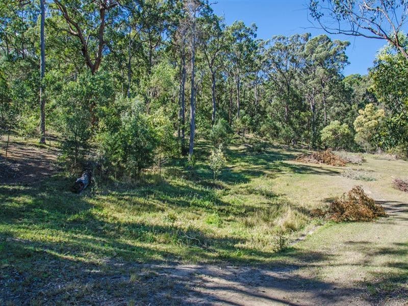 281 Trees Road, Tallebudgera QLD 4228