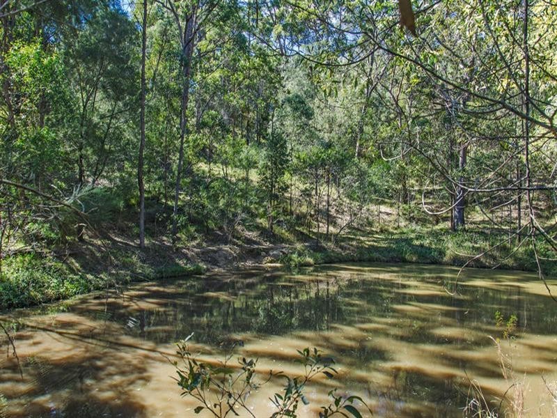 281 Trees Road, Tallebudgera QLD 4228