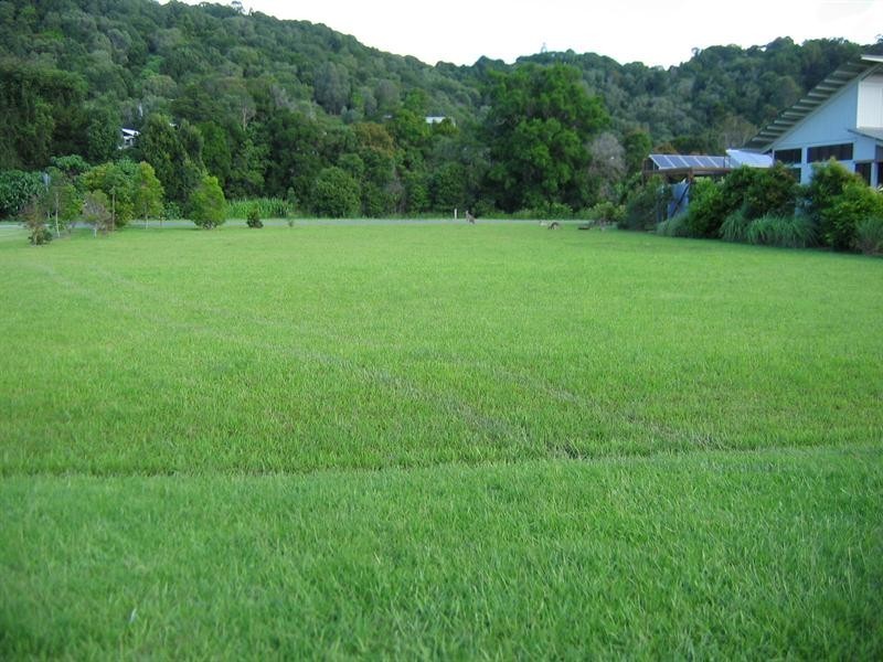 1 Coolamon View, Currumbin Valley QLD 4223