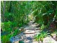 866 Tomewin Mountain Road, Currumbin Valley QLD 4223