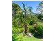 866 Tomewin Mountain Road, Currumbin Valley QLD 4223