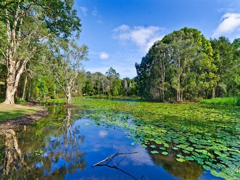 51 Armada Crescent, Currumbin Waters QLD 4223