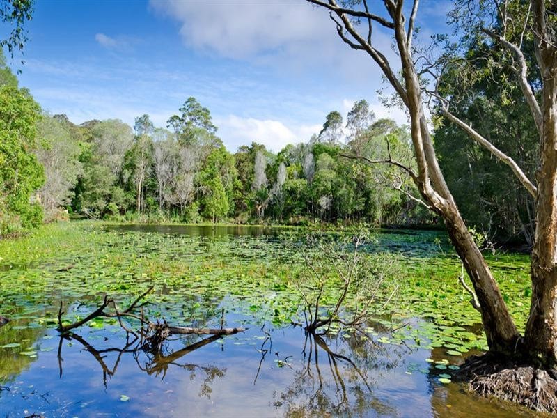 51 Armada Crescent, Currumbin Waters QLD 4223