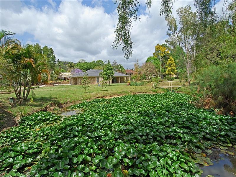 1/20 Cockatiel Place, Currumbin Waters QLD 4223