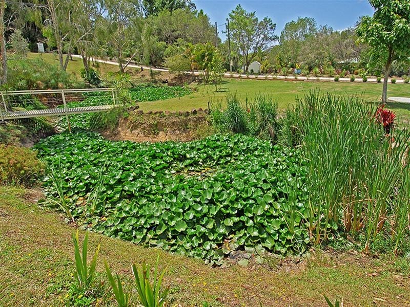 1/20 Cockatiel Place, Currumbin Waters QLD 4223