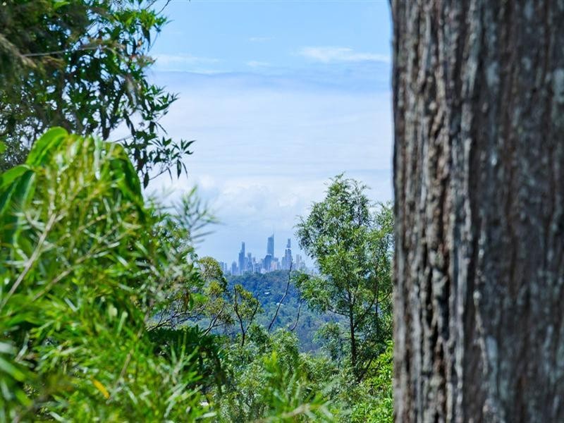 13 Cheshire Grove, Elanora QLD 4221