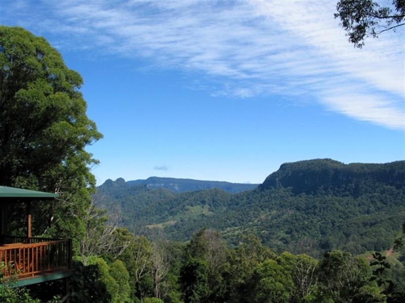 677 Tomewin Mountain Road, Currumbin Valley QLD 4223 the real estate