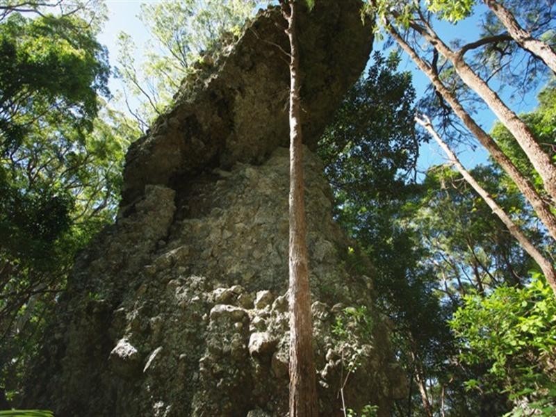 677 Tomewin Mountain Road, Currumbin Valley QLD 4223