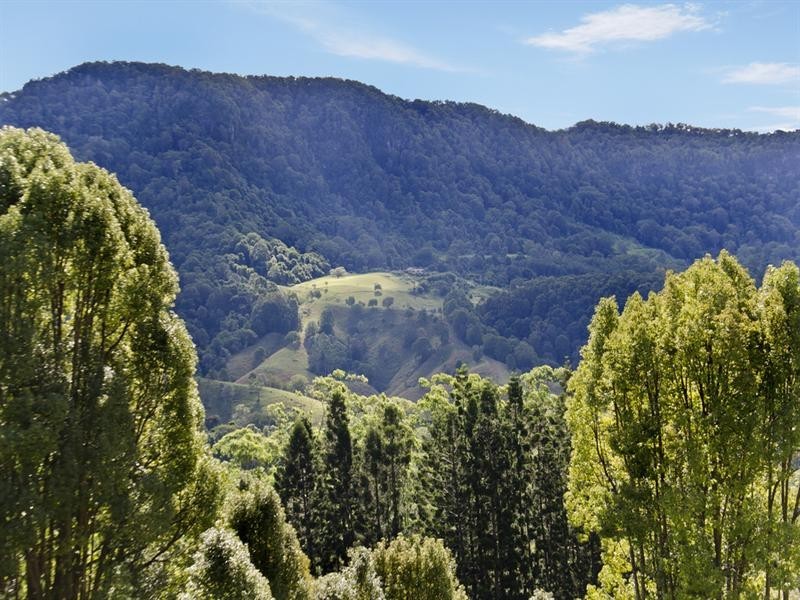 10 Kianga Court, Currumbin Valley QLD 4223