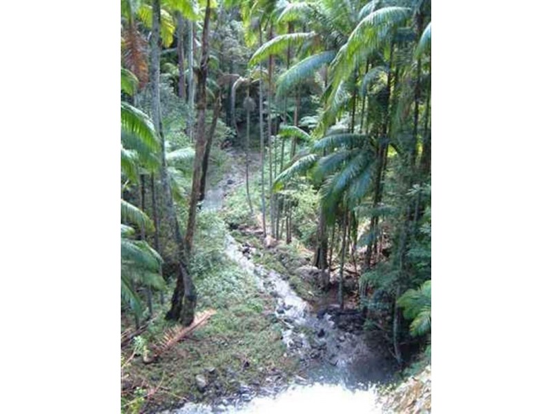 10 Kianga Court, Currumbin Valley QLD 4223