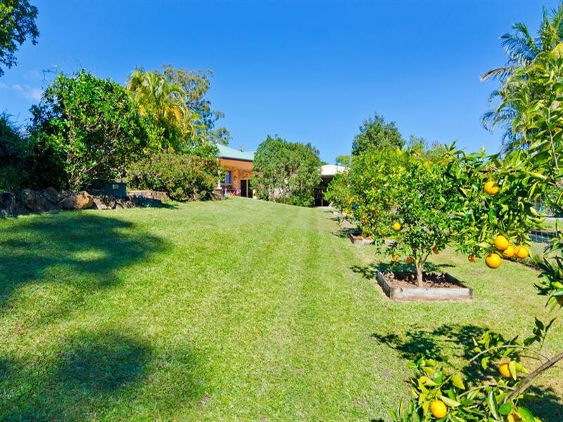 16 Jamberoo Court, Tallebudgera QLD 4228