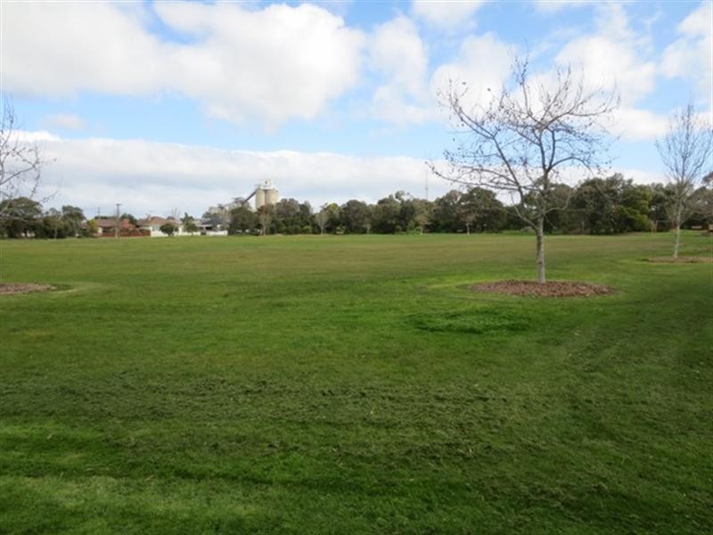 51 Heytesbury Street, Herne Hill VIC 3218