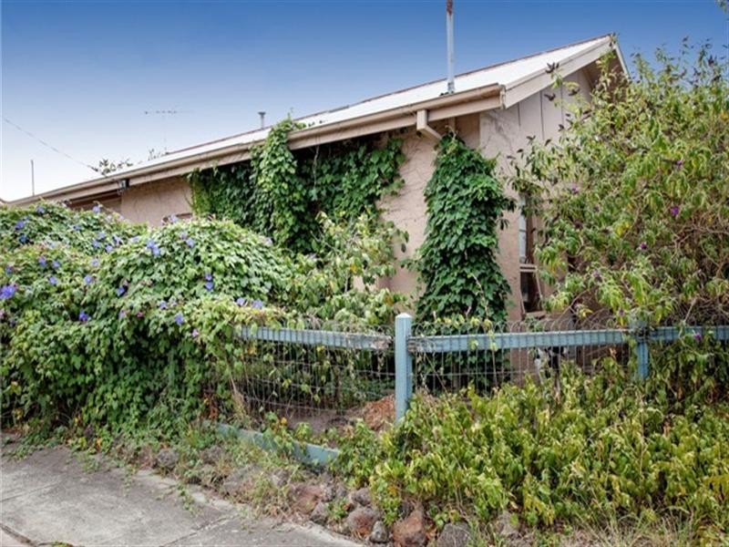 48 Francis Street, Belmont VIC 3216