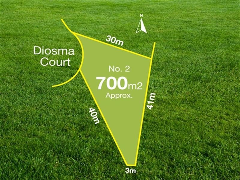 2 Diosma Court, Newcomb VIC 3219