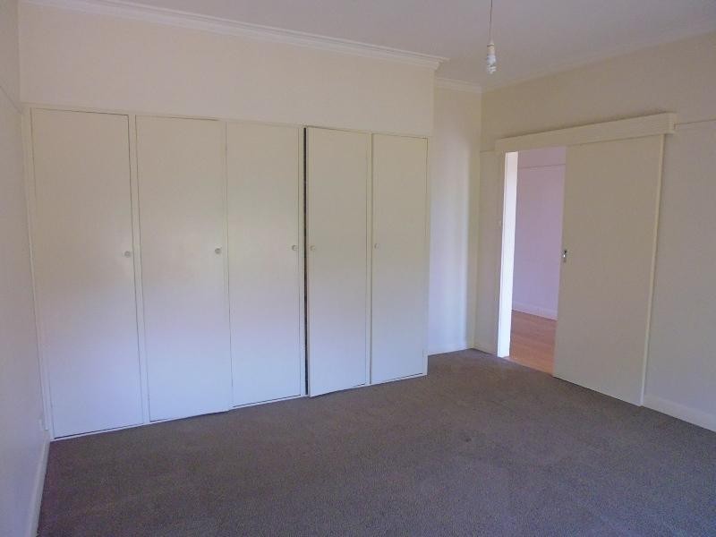 171 Minerva Road, Newtown VIC 3220