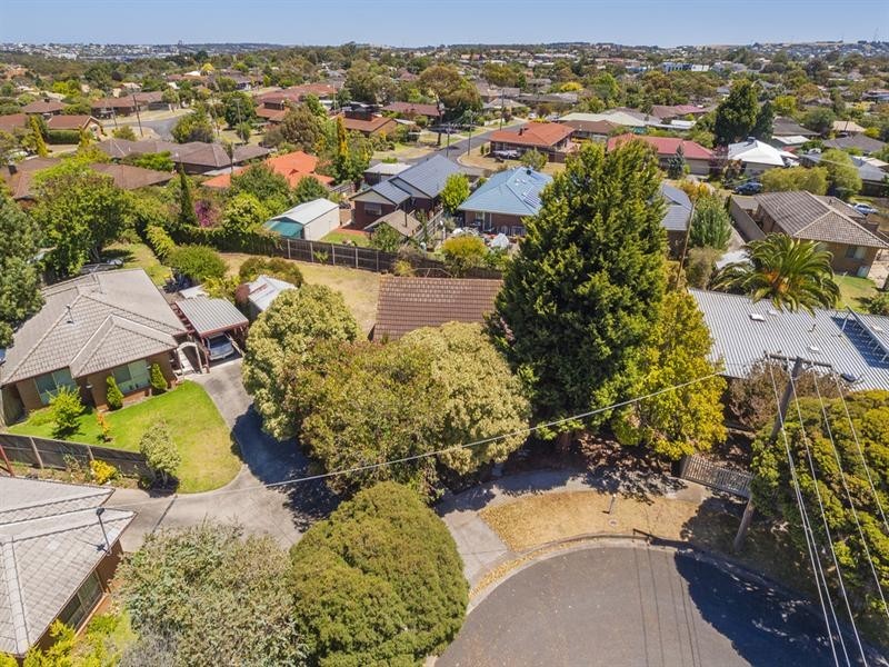 11 Edith Court, Belmont VIC 3216