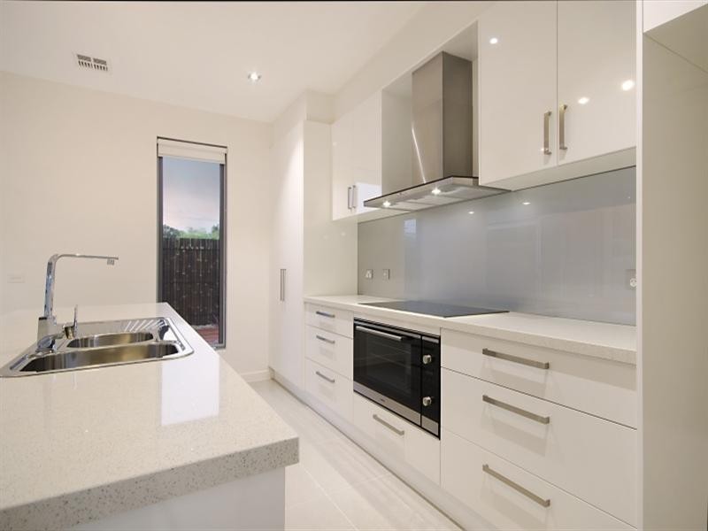 16 Holyrood Avenue, Newtown VIC 3220