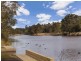 12 Ardlui Drive, Newtown VIC 3220