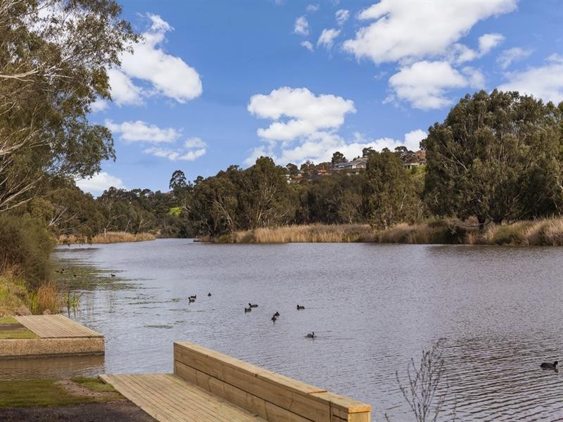 12 Ardlui Drive, Newtown VIC 3220