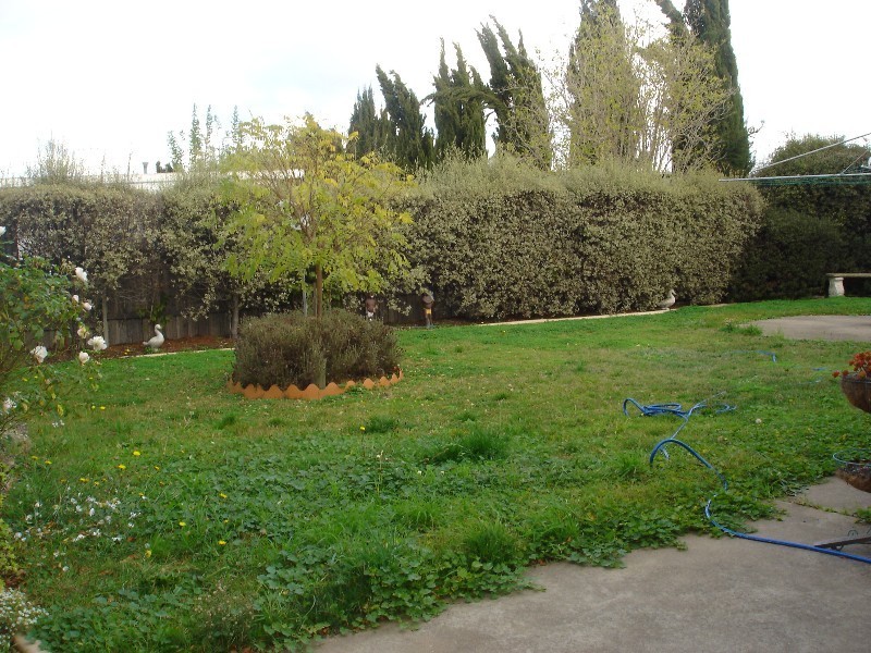 29 Mervyn Street, Newtown VIC 3220