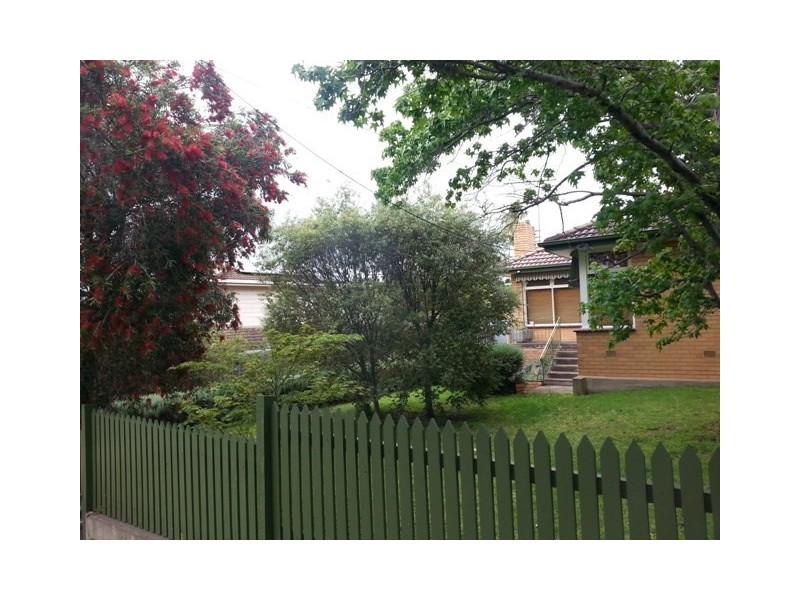 41 Barrabool Road, Belmont VIC 3216