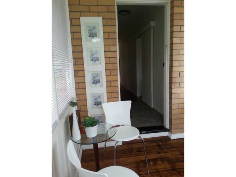 41 Barrabool Road, Belmont VIC 3216