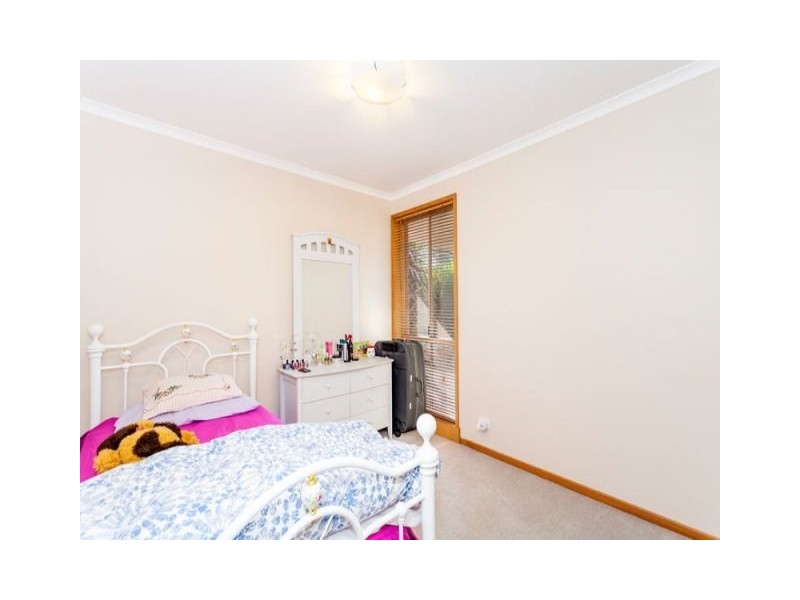 3/260 High Street, Belmont VIC 3216