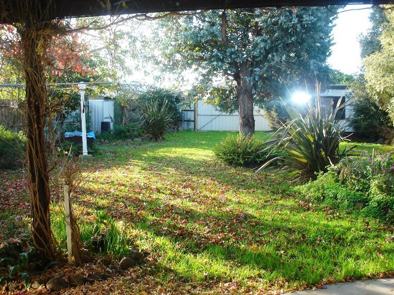 41 Gurr Street, East Geelong VIC 3219
