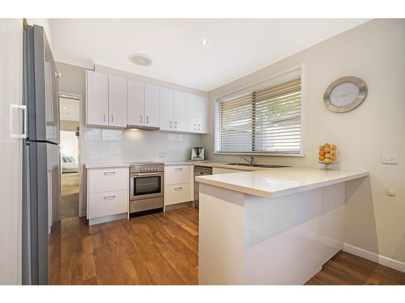 17 Tasman Avenue, Belmont VIC 3216