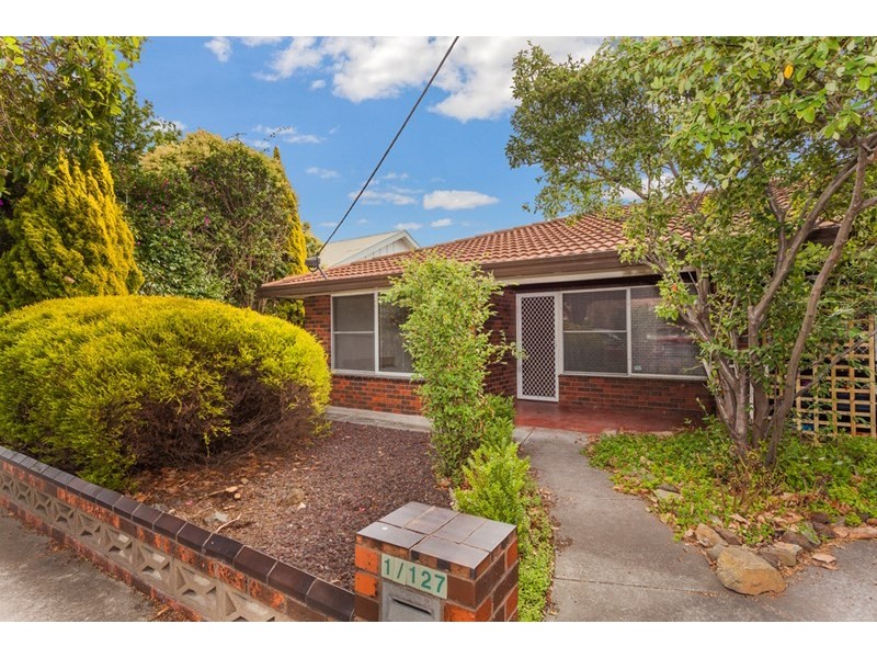 1/127 Minerva Road, Herne Hill VIC 3218