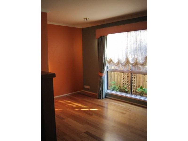 51 South Street, Belmont VIC 3216