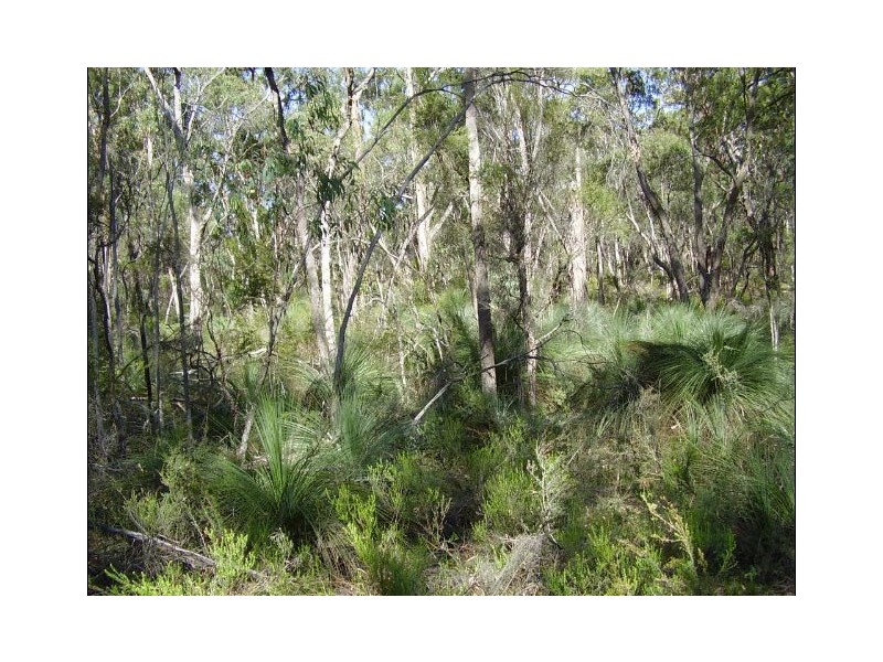 195 McCalls Road, Yeodene VIC 3249