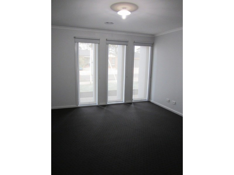 17 Swamphen Drive, Leopold VIC 3224