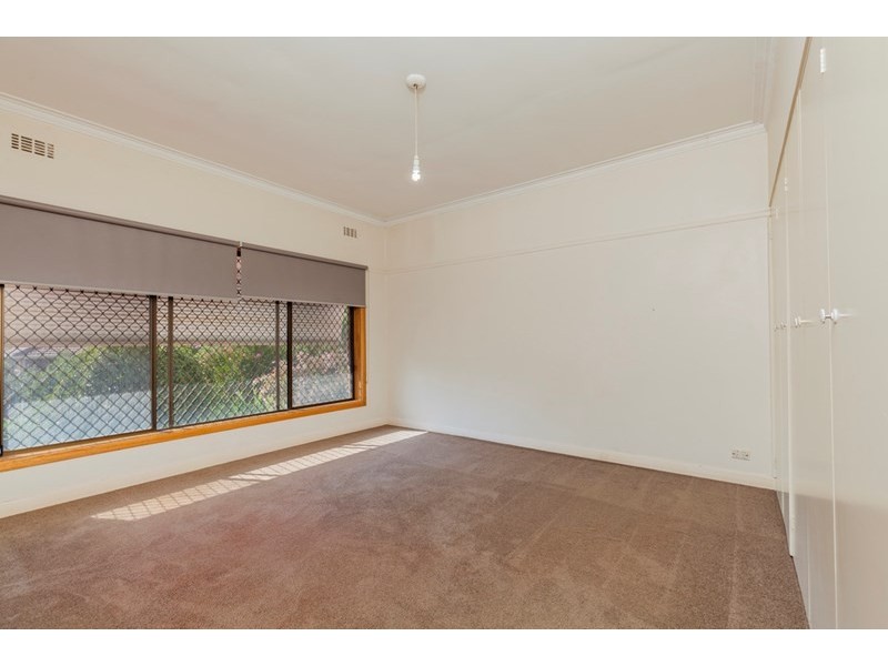 171 Minerva Road, Newtown VIC 3220