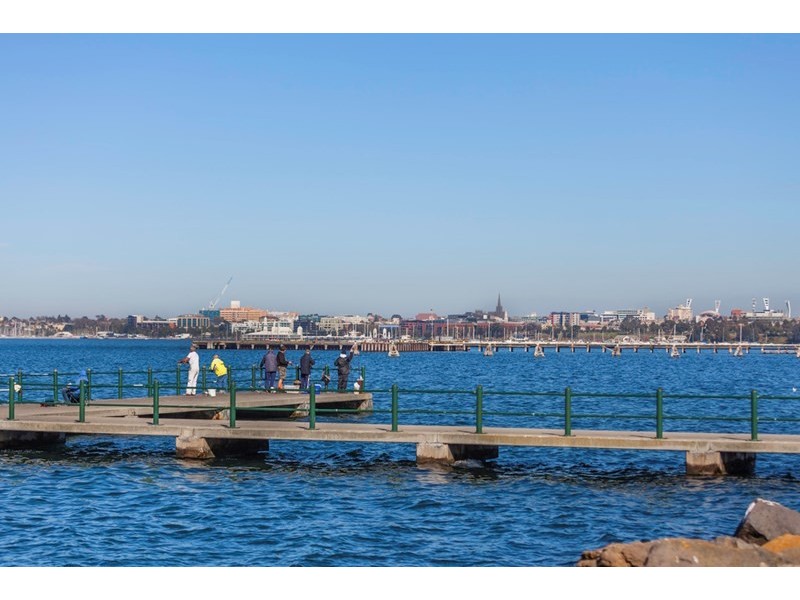 12 St David Street, Rippleside VIC 3215