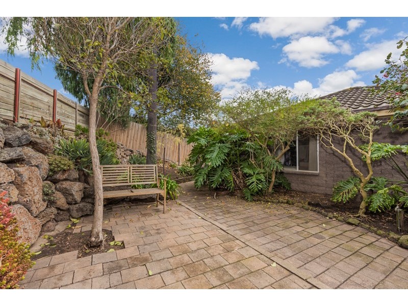 24 Victoria Terrace, Belmont VIC 3216