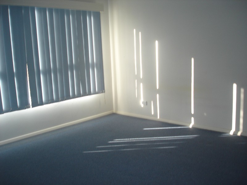 16 Dew Street, Whittington VIC 3219