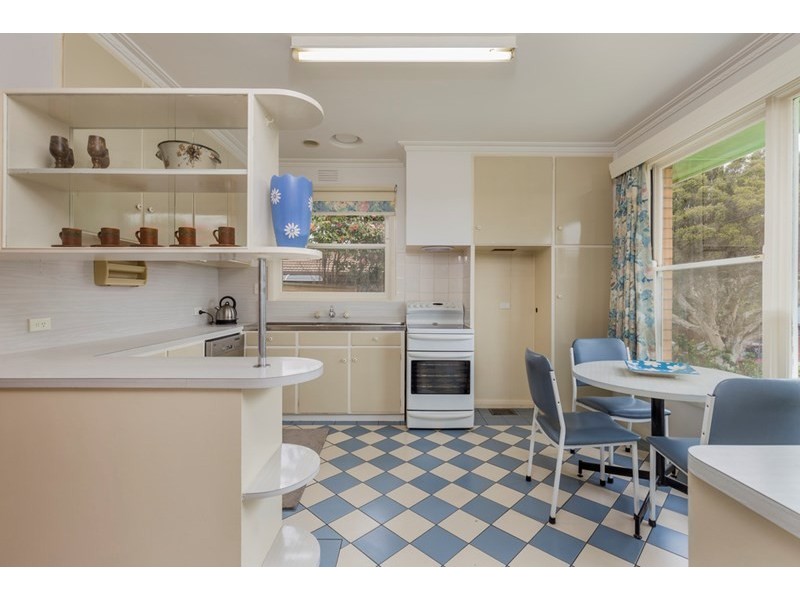 61 Iona Avenue, Belmont VIC 3216