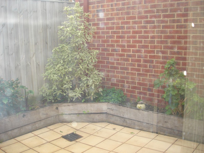 19 St Albans Road, East Geelong VIC 3219