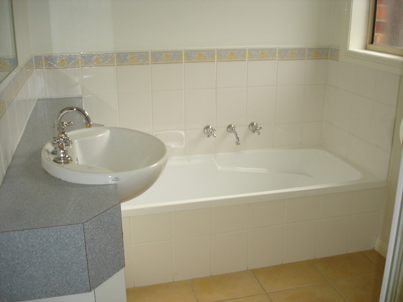 19 St Albans Road, East Geelong VIC 3219