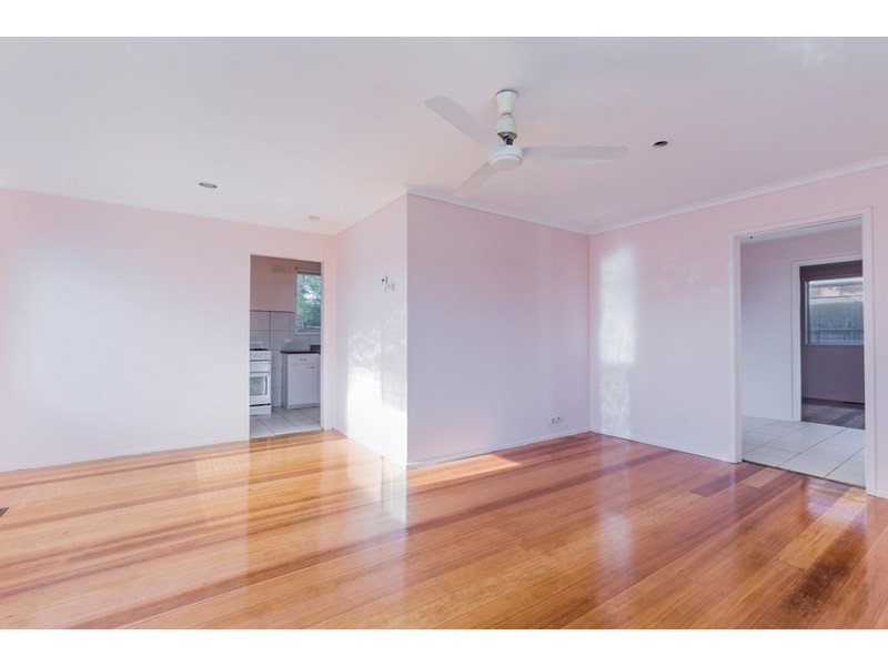 17 Newland Street, Newcomb VIC 3219