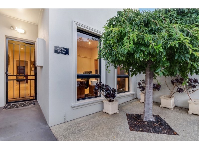 3/3 Adams Place, Geelong VIC 3220