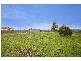 22 Greenfield Drive, Moriac VIC 3240
